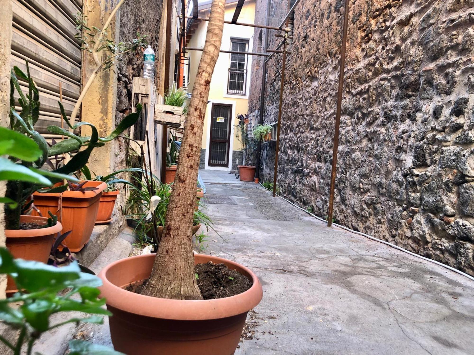 Loft Vicolo Lavico Διαμέρισμα Κατάνια Εξωτερικό φωτογραφία